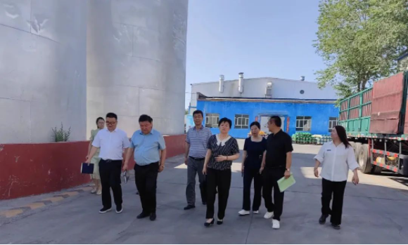 提信心 促發(fā)展|奎屯市副市長、伊犁州科技局局長、奎屯市科技局局長一行調(diào)研金雪馳奎屯工廠